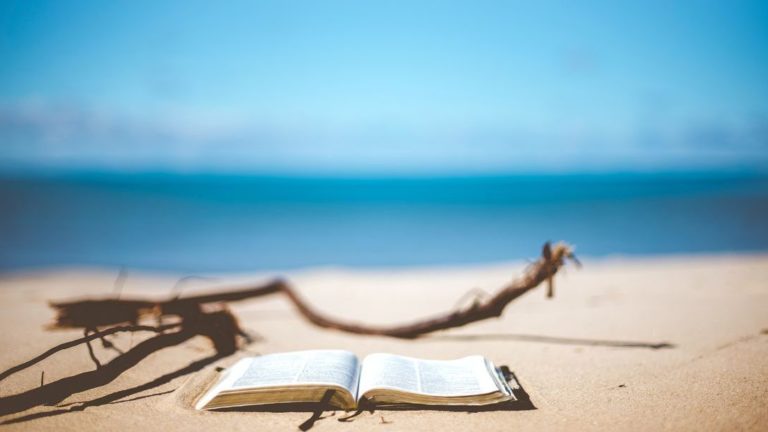 Gelesen: Vier Pfoten und ein Van
