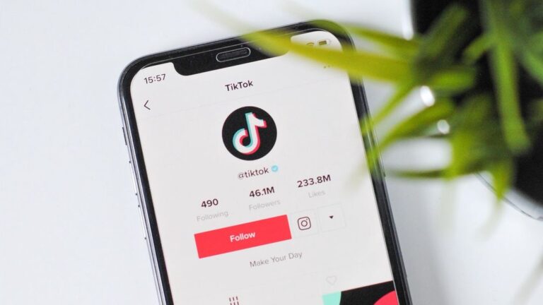 Rene Schmock: Trucker kratzt die Million bei TikTok