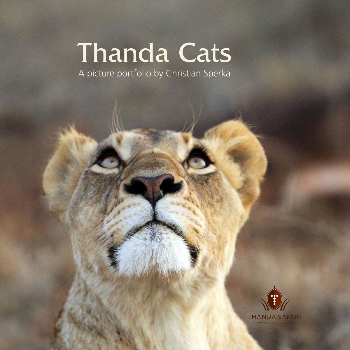 Thanda Cats - Christian Sperka