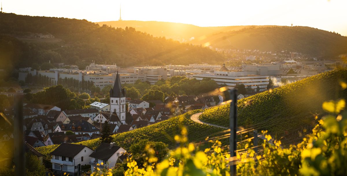 Esslingen ist ganz frisch online