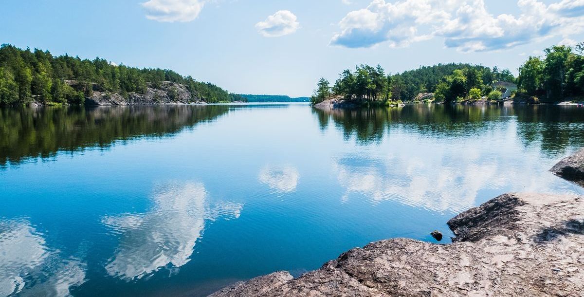 Gelesen: Schweden - ganz wild