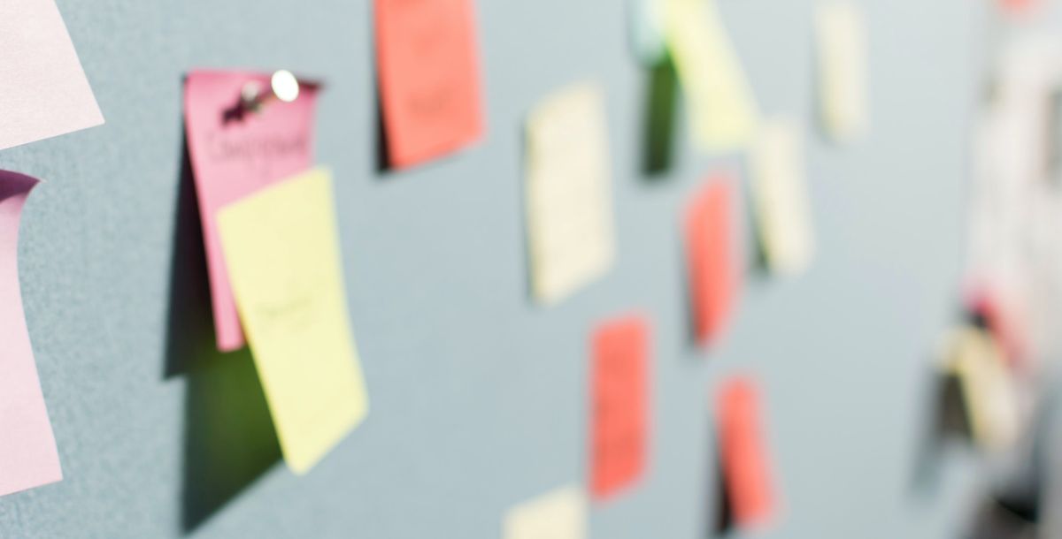 Social-Media-Phänomen kommt in die Mediathek