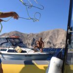 SeaHelp zieht positive Bilanz für 2023 SeaHelp zieht positive Bilanz für 2023