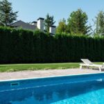 Neuer Pool - 2025 planen, 2026 planschen Neuer Pool - 2025 planen, 2026 planschen