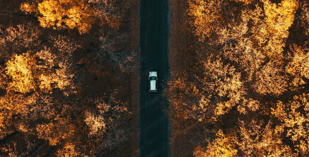Tipps für einen gelungenen Roadtrip
