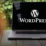 Analytify-Plugin führt zu Problemen auf WordPress-Seiten