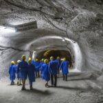 Die Versorgung mit heimischen Rohstoffen