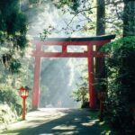 Gelesen: "Secret Places Japan" Gelesen: "Secret Places Japan"