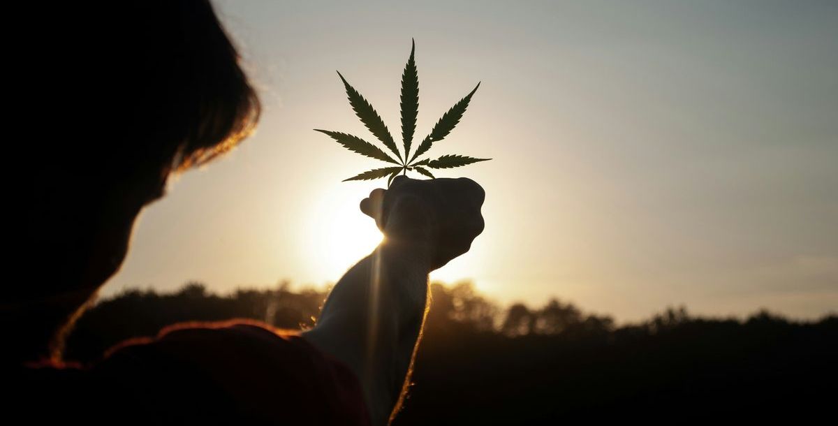 Cannabis - vom Tabu zur legalen Genusskultur