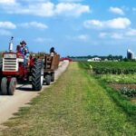 Sierks in Wyoming County, New York - neues Büro?