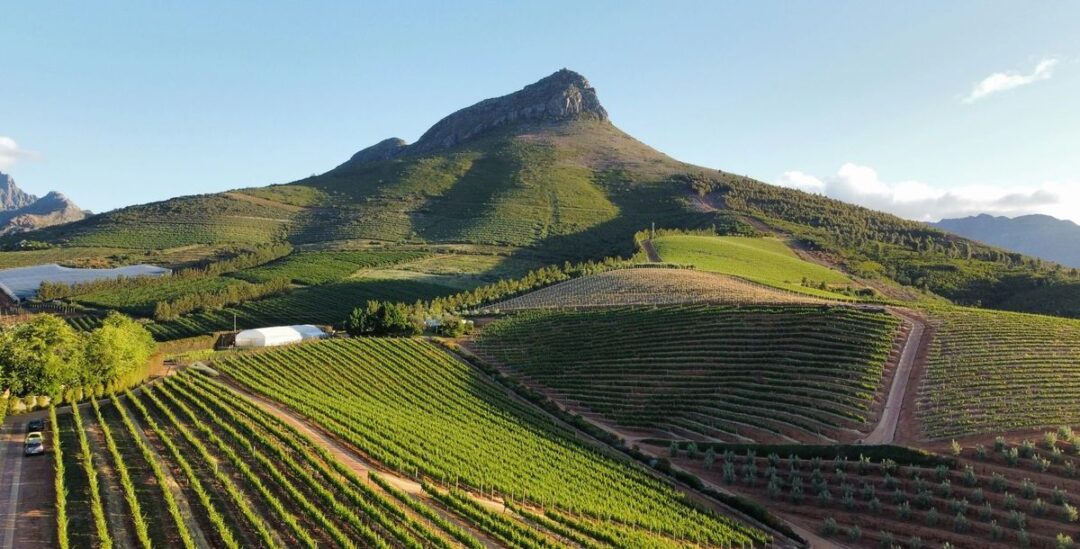 Südafrikas Weingebiete - die Hotspots rund um Kapstadt