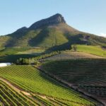 Südafrikas Weingebiete - die Hotspots rund um Kapstadt