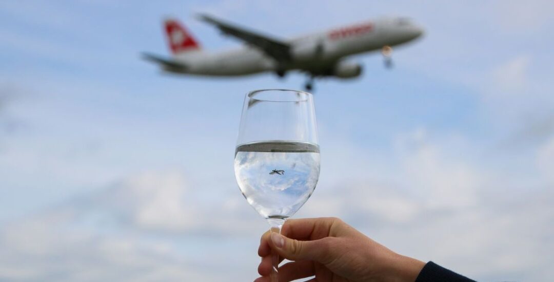 Flughafen-Lounges beeinflussen Reiseplanung