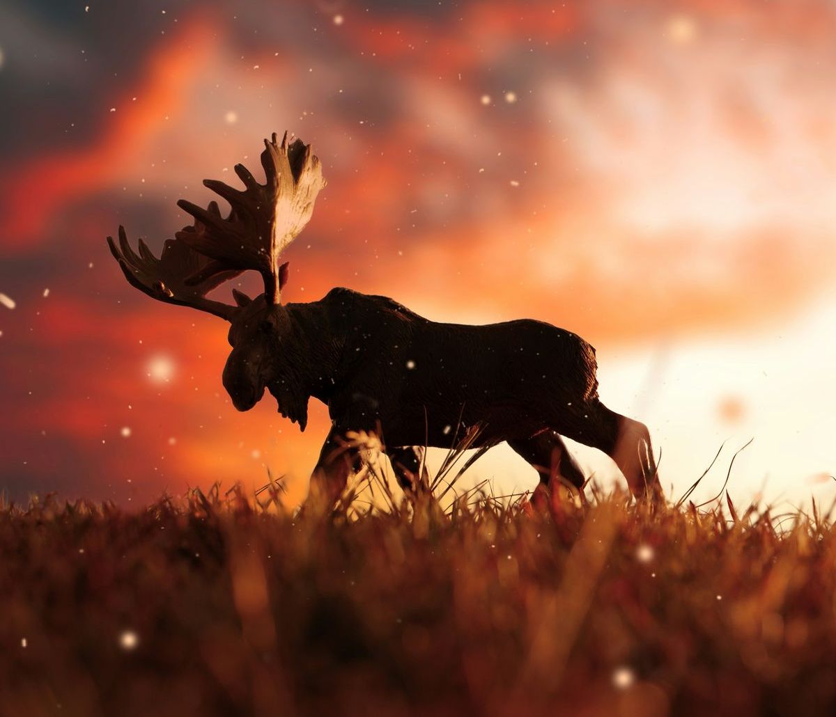 Weihnachtsmann-Schock: "Bei 10 Grad Plus streiken meine Rentiere!"