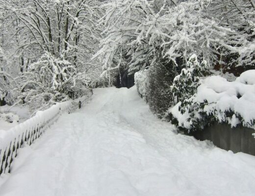 Norddeutschland im Schnee-Chaos - einfach mal nichts tun