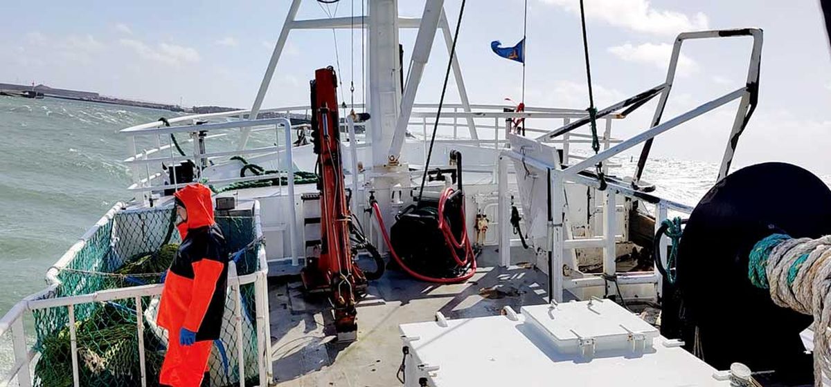 Nordseefisch - fangfrisch per Express aus Dänemark