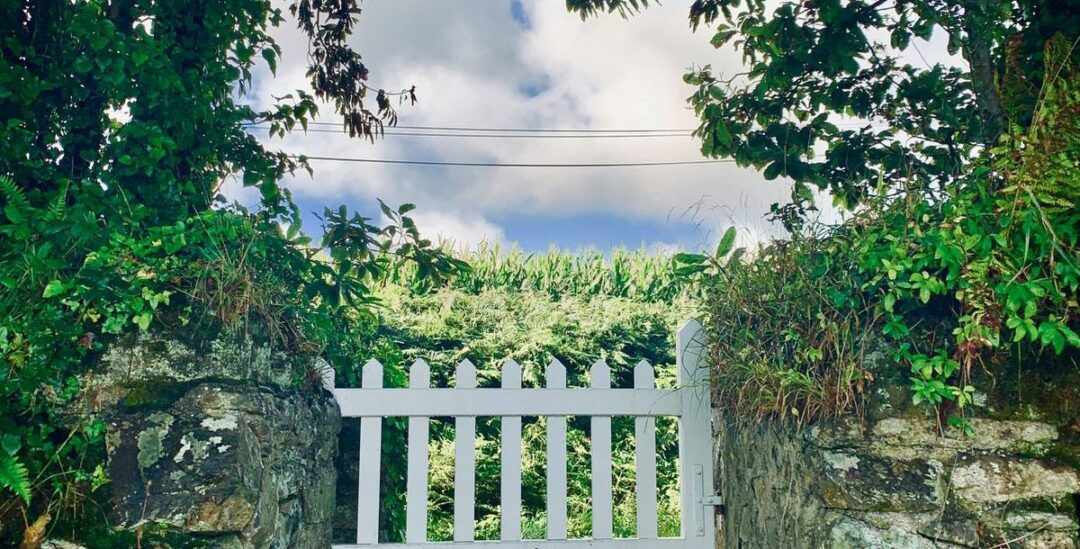 Wie Mauern den Garten ordnen