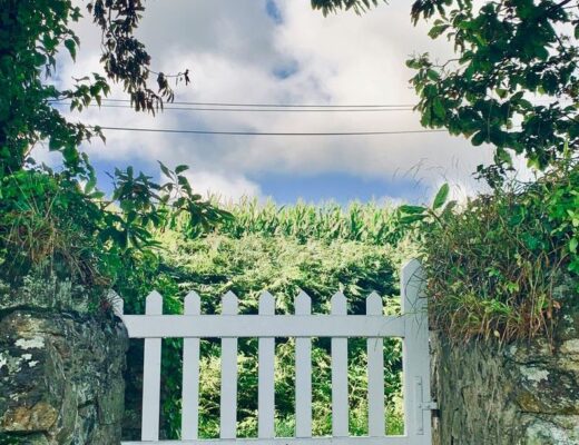 Wie Mauern den Garten ordnen