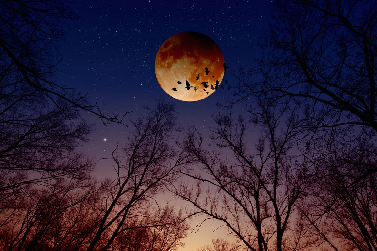 Blutmond im August - neues Himmelsspektakel?